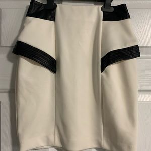 Express Pencil Skirt